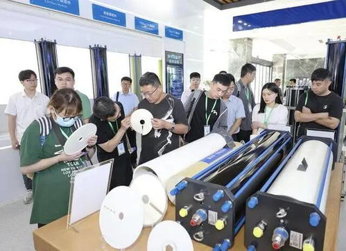 一抹青绿映齐鲁 环保咨询服务助力山东可持续发展